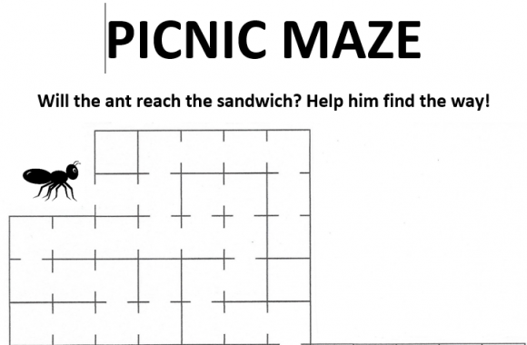Picnic Maze